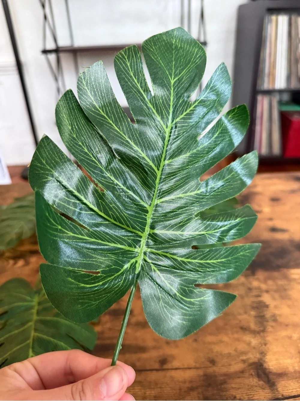 Set of 5 Faux Monstera Leaves - Green